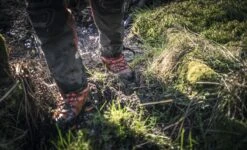 Husqvarna Technical Zaagschoen 24ms - 42 10 Husqvarna Technical Zaagschoen 24ms - 42 -Husqvarna Verkoop 5976592XX 5 HUSQVARNA20TECHNICAL20ZAAGSCHOEN2024MS