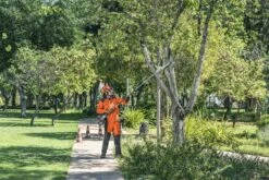 Husqvarna Stokzaag 525p4s 240cm 1.4pk 10 Husqvarna Stokzaag 525p4s 240cm 1.4pk -Husqvarna Verkoop 967329401 3 Husqvarna20stokzaag20240cm