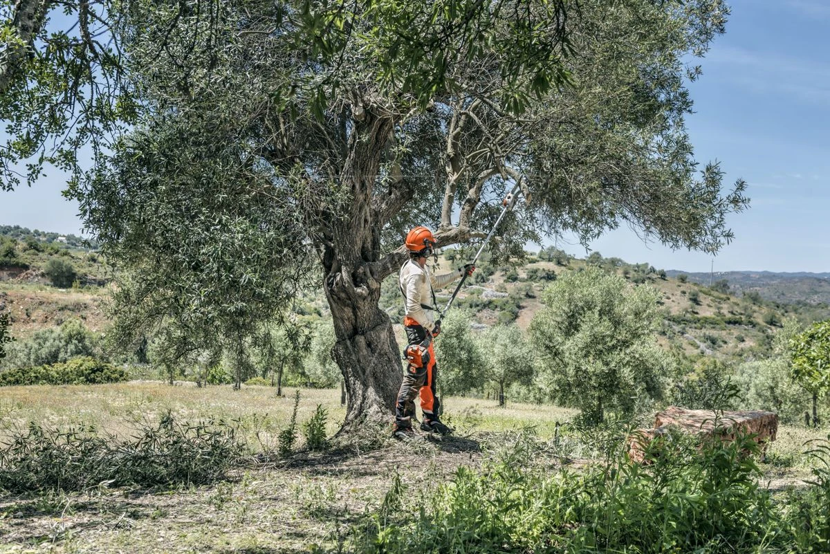 Husqvarna Stokzaag 525p4s 240cm 1.4pk 7 Husqvarna Stokzaag 525p4s 240cm 1.4pk - Image 5