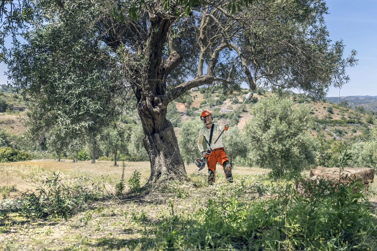 Husqvarna Stokzaag 525p4s 240cm 1.4pk 8 Husqvarna Stokzaag 525p4s 240cm 1.4pk - Image 6