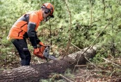 Husqvarna 550xpii Kettingzaag 38cm 4.1pk 16 Husqvarna 550xpii Kettingzaag 38cm 4.1pk -Husqvarna Verkoop 967690835 14 HUSQVARNA20550XP20MARK20220KETTINGZAAG2038CM204.1PK