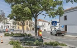 Husqvarna 530ipt5 Accu Stokzaag Ex.accu 7 Husqvarna 530ipt5 Accu Stokzaag Ex.accu -Husqvarna Verkoop 967884811 3 Husqvarna20accu20stokzaag20536lipt5